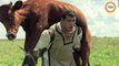 Un Ukrainien surpuissant porte une vache sur ses épaules