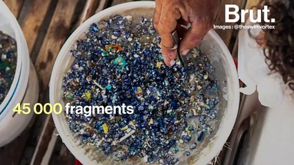 Qu'a découvert Benoît Lecomte après sa traversée du continent de plastique à la nage ?