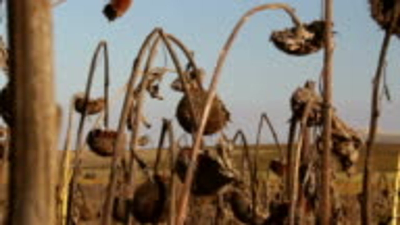 7 naciones que pronto podrían quedarse sin agua