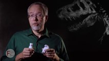 The Acambaro Figurines - Are They Evidence of Dinosaurs Among Us?