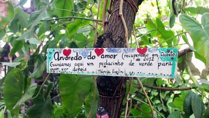 Caju Pinga Fogo Websérie EP 1 - Arrefrescado