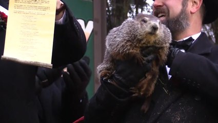 AccuWeather scoops Punxy Phil with early spring preview