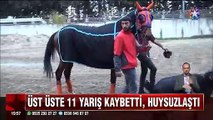 At ve keçinin dostluğu nasıl yarış kazandırdı