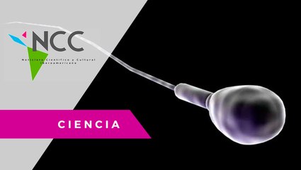 Es­per­ma ar­ti­fi­cial: una es­pe­ran­za para la in­mi­nen­te in­fer­ti­li­dad mas­cu­li­na