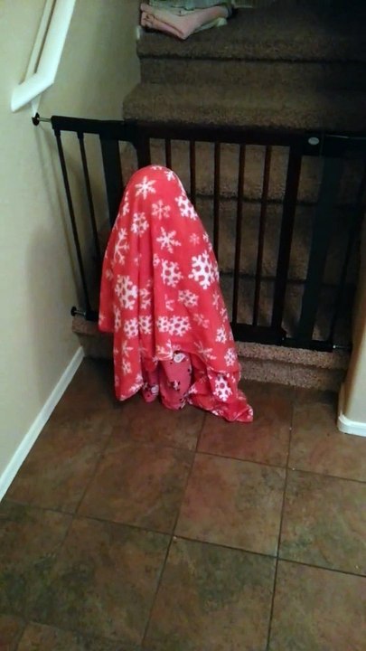 Adorable Ghost Can't Walk through Walls