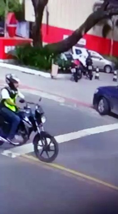 Vídeo mostra momento em que árvore cai em Guarapari