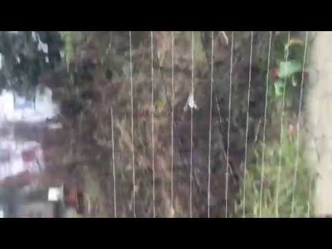 Moti i keq përfshin vendin, pamje nga përmbytjet në lagjen “Ali Demi”