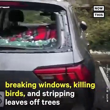 Australia Pummeled with Golf Ball-Sized Hail & Dust Storms _