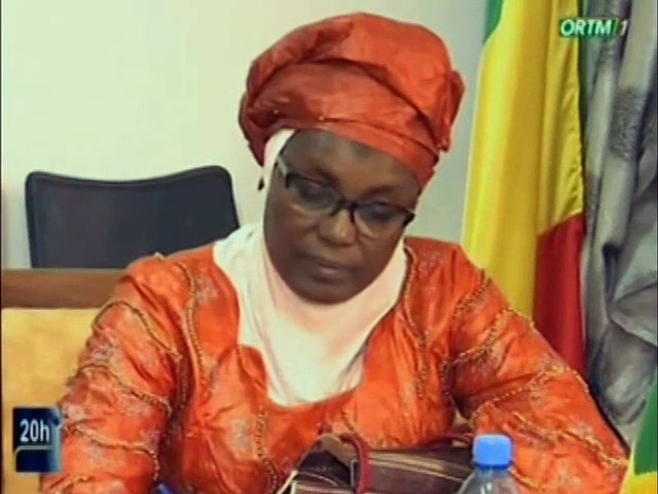 ORTM/Audience du Président du CESC avec une délégation du secrétariat permanent du conseil de sécurité, la fondation pour la solidarité et la coalition national pour les soins essentiel dans la communauté (FENASCOM) à Bamako