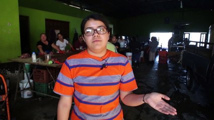 Pelícanos llegan desde Canadá a México y son recibidos con festín