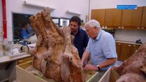 الفيلم الوثائقي اكبر ديناصور على الارض