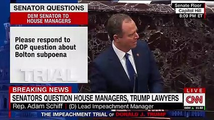 Trump's lawyer accidentally confessed it was 'executive privilege and other nonsense' that would hold up the Senate witnesses