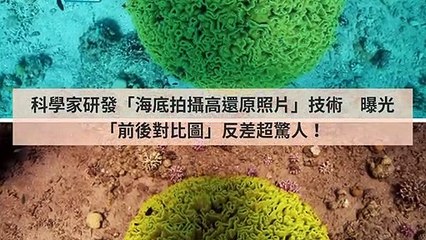 CollectionVideo-adgeek_teepr_curation-copy8-TeeprParser-2020/01/30-10:30