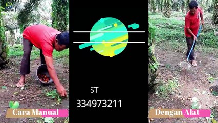 Cara Berondol Manual vs Alat Buatan Sendiri