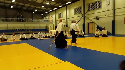 Stage régional animé par Patrick BÉNÉZI SHIHAN, 7° DAN
