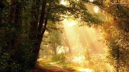 Value of time | Radhakrishn | Krishnavaani| Dhananjay priyadarshi