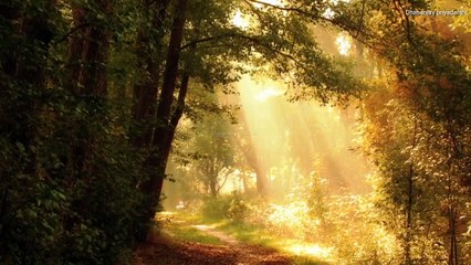 Bad effect of memories | Radhakrishn | Krishnavaani| Dhananjay priyadarshi