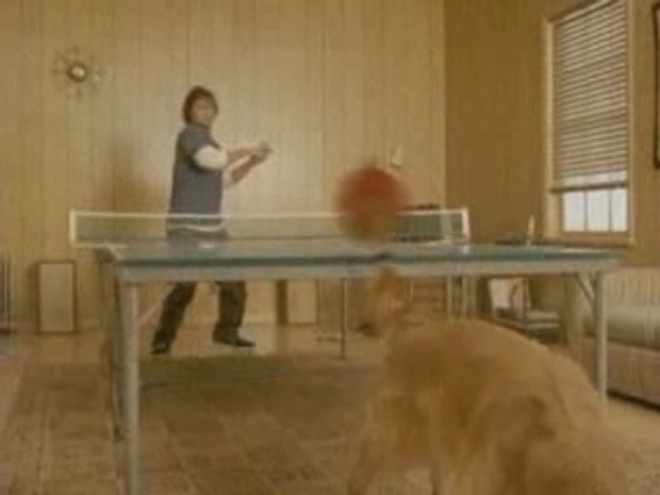 Ping pong pub pour chien