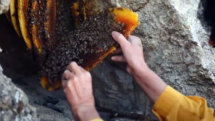 Honeyland - Bal Ülkesi - Trailer