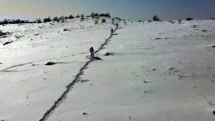 "Kapan-5 Gabar Operasyonu" başlatıldı (3)