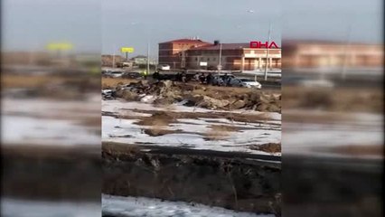 Van erciş'te aracın çarptığı yaralı köpeğe kaymakam sahip çıktı