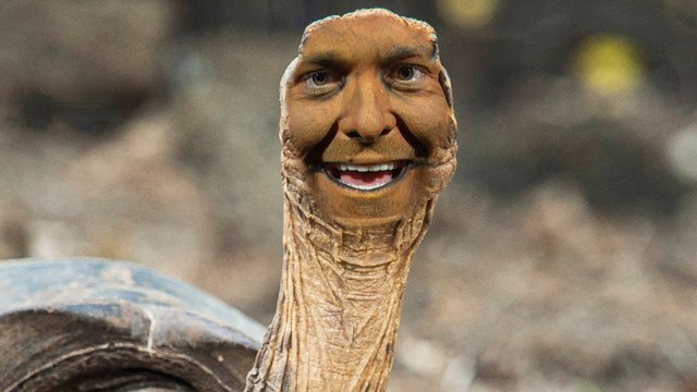 Seth Meyers Interviews Diego, the Tortoise Who Saved His Species from Extinction