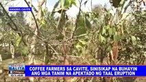 Coffee farmers sa Cavite, sinisikap na buhayin ang mga tanim na apektado ng Taal eruption