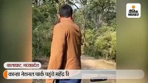 कान्हा नेशनल पार्क पहुंचे महेंद्र सिंह धोनी