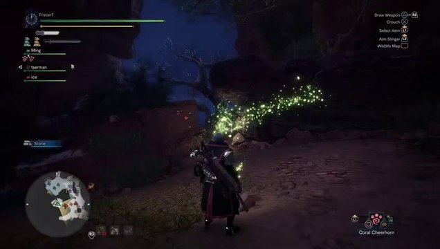 Hunting Rathian Monster Hunter World