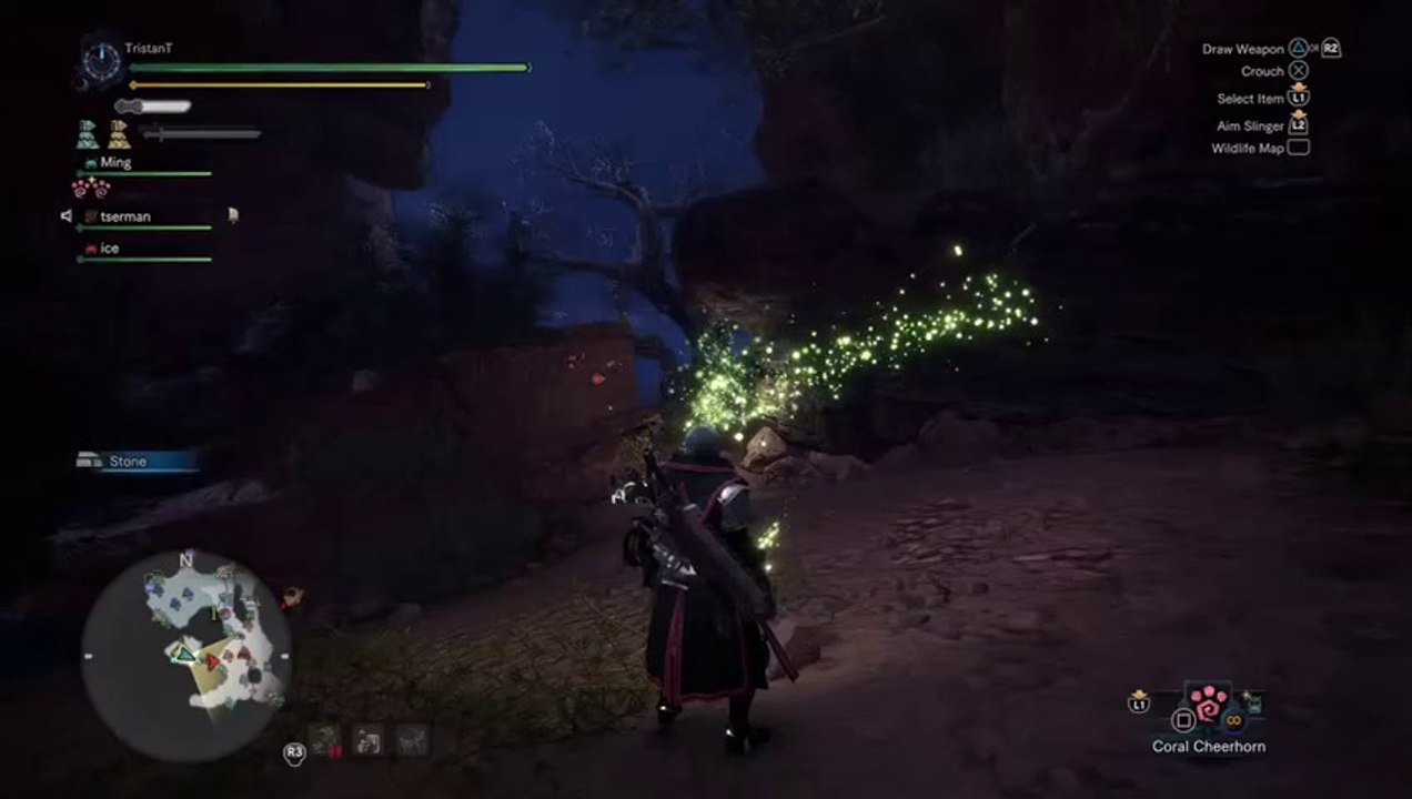 Hunting  Rathian  Monster Hunter World