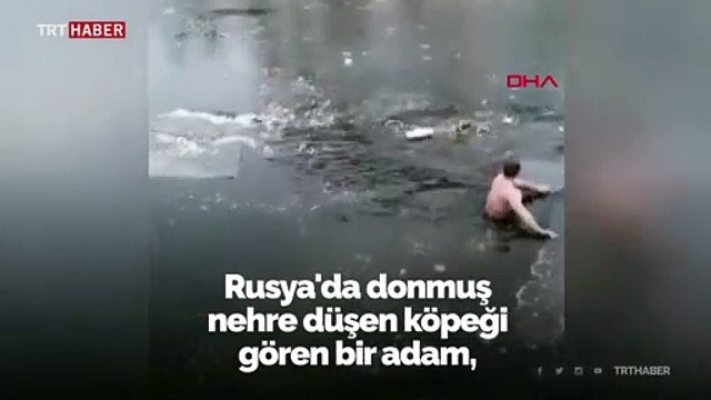 Donmuş nehre düşen köpeği böyle kurtardı