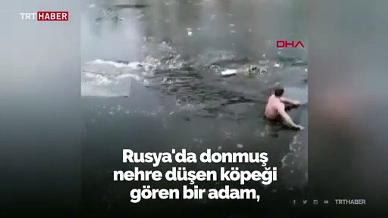 Donmuş nehre düşen köpeği böyle kurtardı