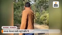 धोनी परिवार समेत कान्हा में 6 घंटे घूमे, 10 मिनट तक बाघ का दीदार किया