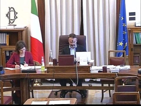 Roma - Audizioni su rappresentanza sindacale (29.01.20)
