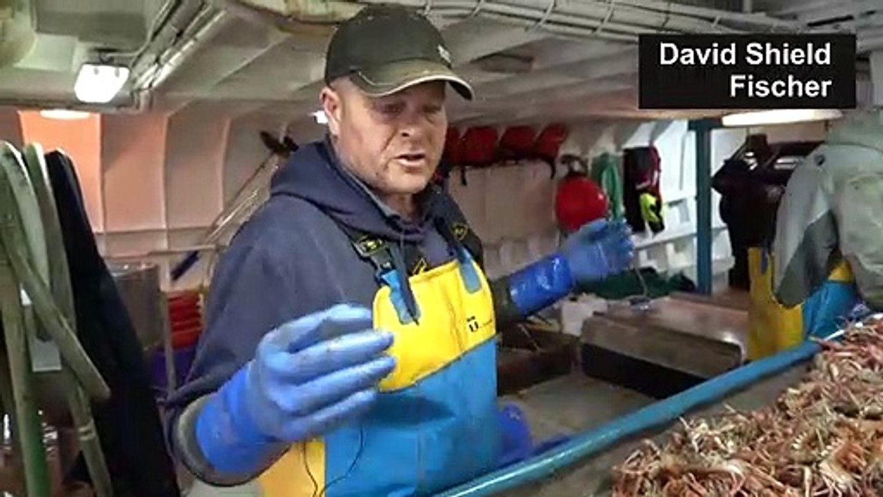 Nach dem Brexit: Hoffen auf besseren Fischfang