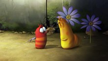 LARVA SEASON1, HIDE AND SEEK, CRAZY CARTOONS, PLEASANT EPISODE