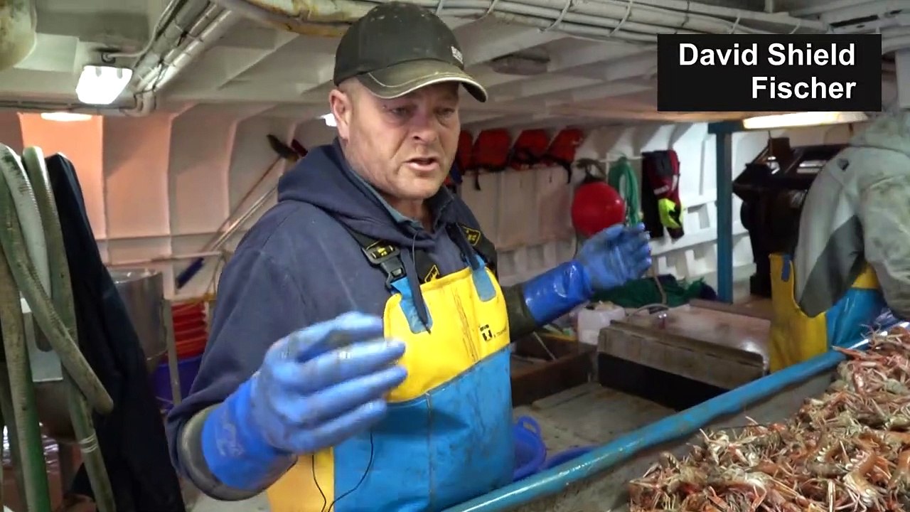 Nach dem Brexit: Hoffen auf besseren Fischfang