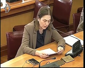 Commissione Trasporti - interrogazioni a risposta immediata (29.01.20)