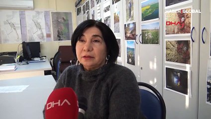 1462 yıllık İstanbul depreminin izleri Avcılar'da ortaya çıktı!