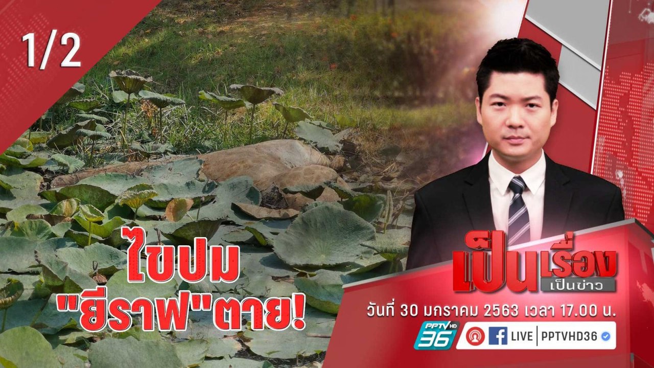 เป็นเรื่องเป็นข่าว | “เป็นเรื่องเป็นข่าว” – ไขปม! การตาย “ยีราฟ” (1/2)