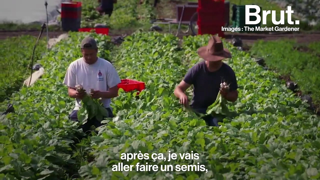 "Ce qu'on veut, c'est remplacer l'agriculture de masse par une masse d'agriculteurs", explique Jean-Martin Fortier