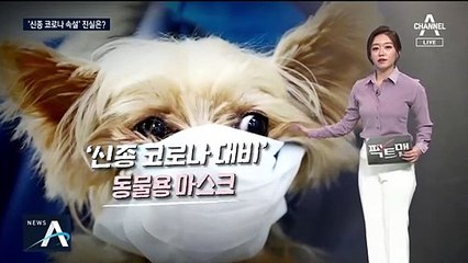 [팩트맨]‘신종 코로나’ 속설·예방법 O/X?