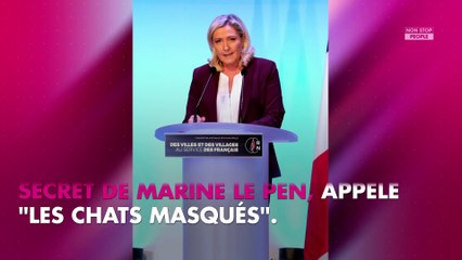 Marine Le Pen Son Compte Instagram Sur Ses Chats Cree Le Buzz Video Dailymotion