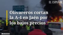 Olivareros cortan la A-4 en Jaén por los bajos precios