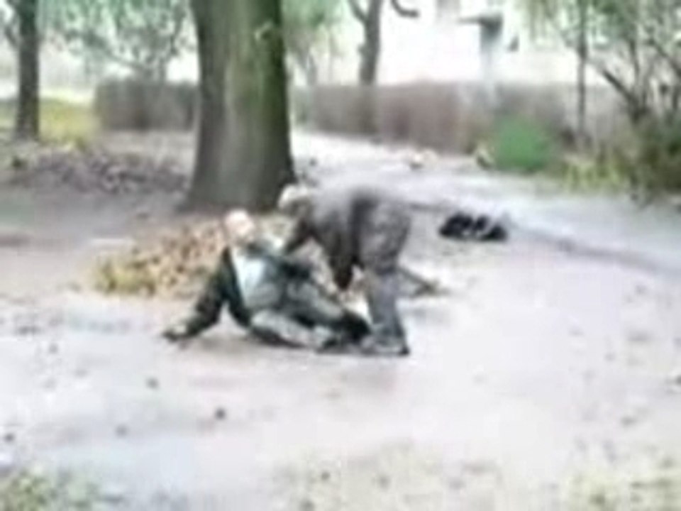 Besoffene russen