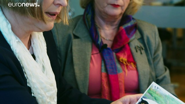 Когда корова несчастна