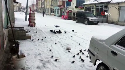 Karlıova Beyaza Büründü