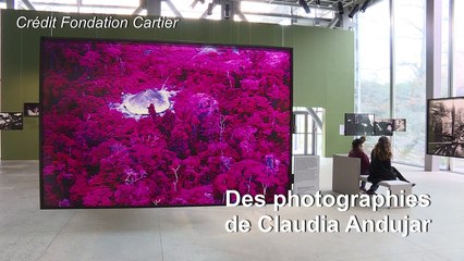 Exposition à Paris pour la survie des Indiens Yanomami au Brésil