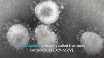 What is corona virus 2020 | what is coronavirus 2020| china corona virus | corona virus facts vs fiction | Tips about coronavirus | 3 Coronavirus  symptoms you need to know / wuhan coronavirus 2020