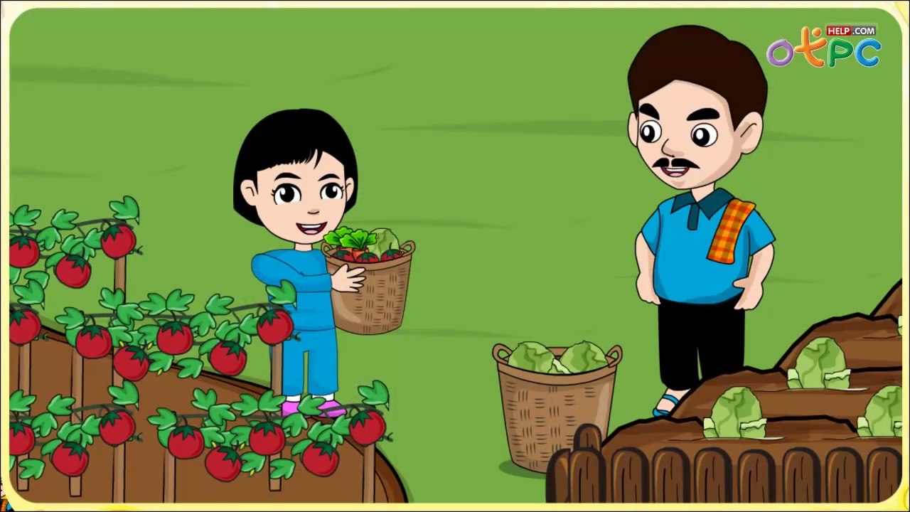สมาชิกที่ดีของครอบครัว - สื่อการเรียนการสอน สังคม ป.1